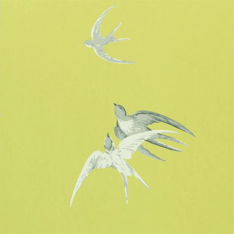 Swallows Lime Populaire