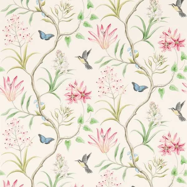 Dernière Chance Clementine Chintz