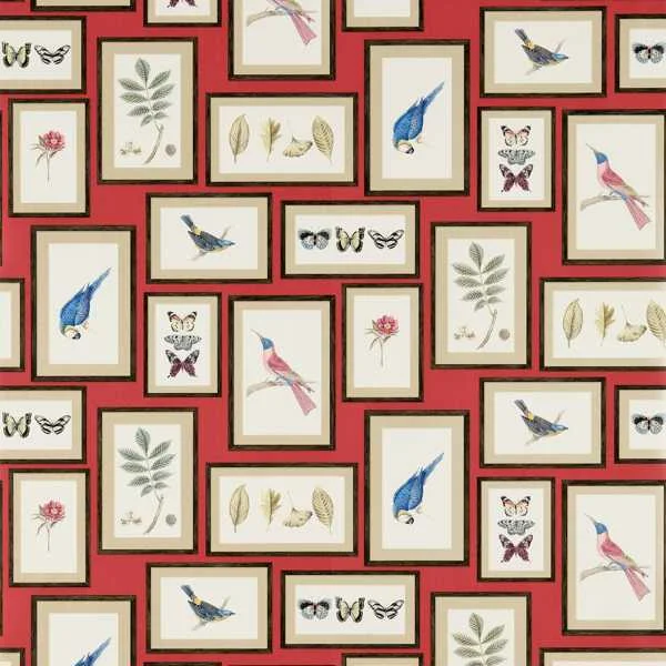 Picture Gallery Red/Multi Achetez Aujourd'hui